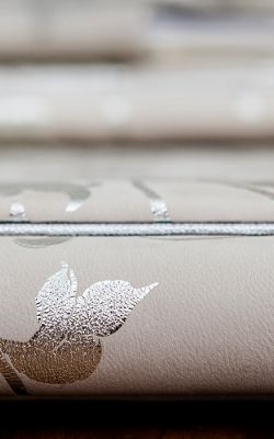 web MG 5179